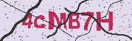 Code captcha