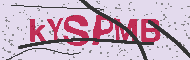 Codigo Captcha